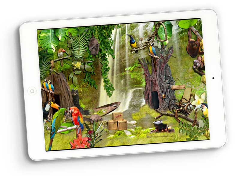 SKU_1007_Rainforest_Bundle_800_Prev2