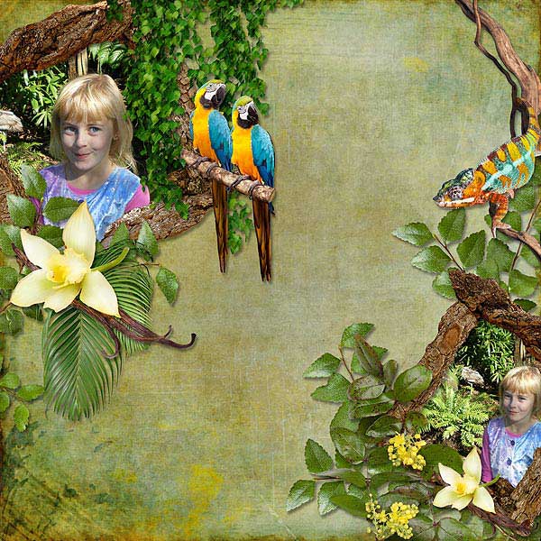 SKU_1007_Rainforest_Bundle_Layout_08