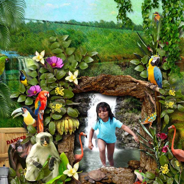 SKU_1007_Rainforest_Bundle_Layout_10