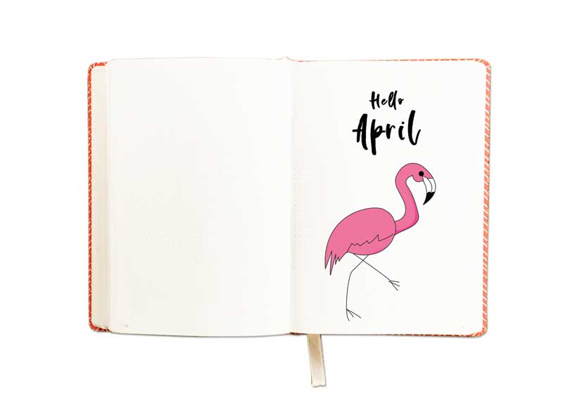 SKU_3038_A_Flamingo_Cover_Page_800_1_Prev