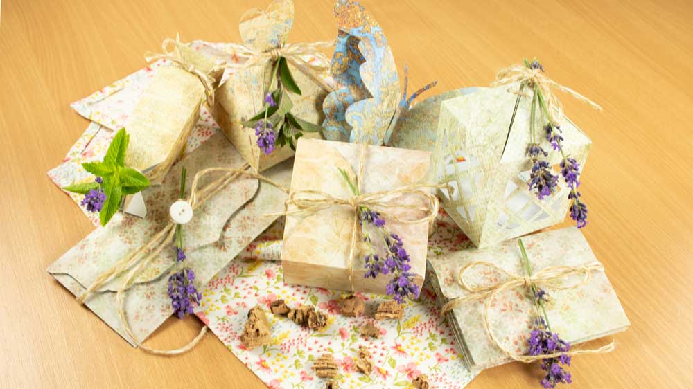 Vintage_Collection_Komplett