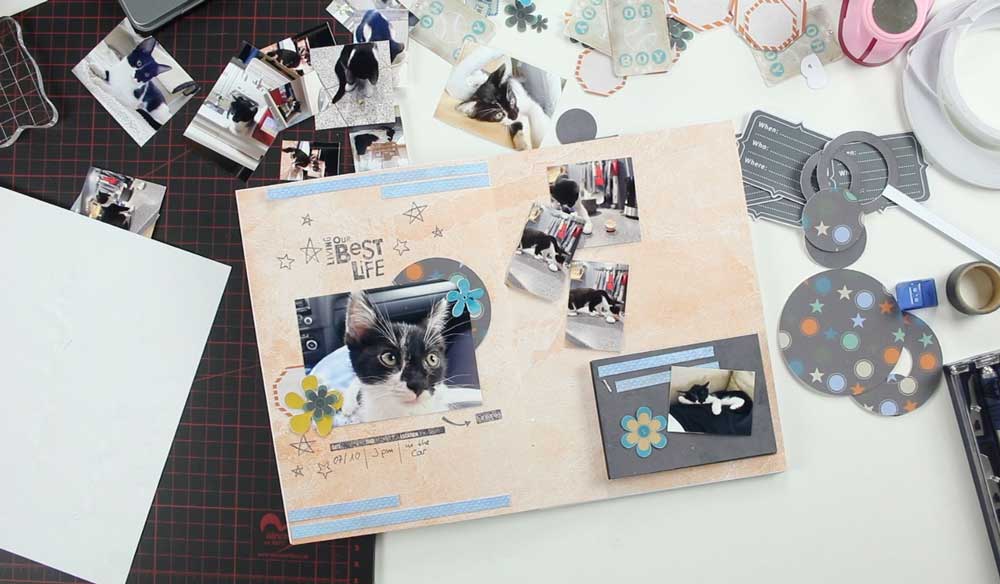 Layout_03