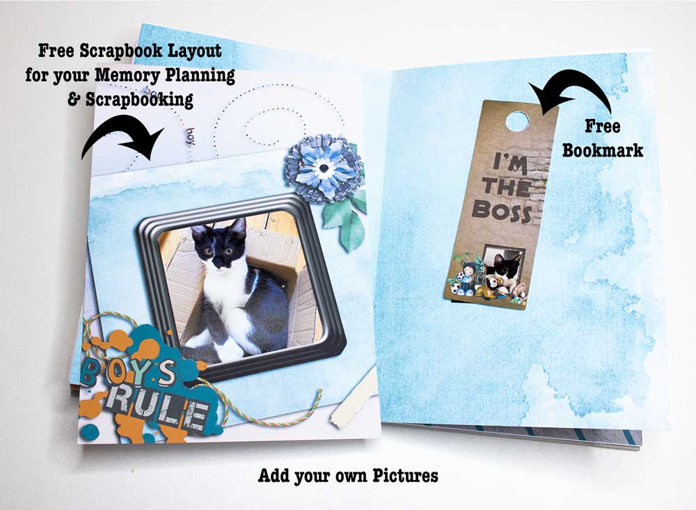 freebie