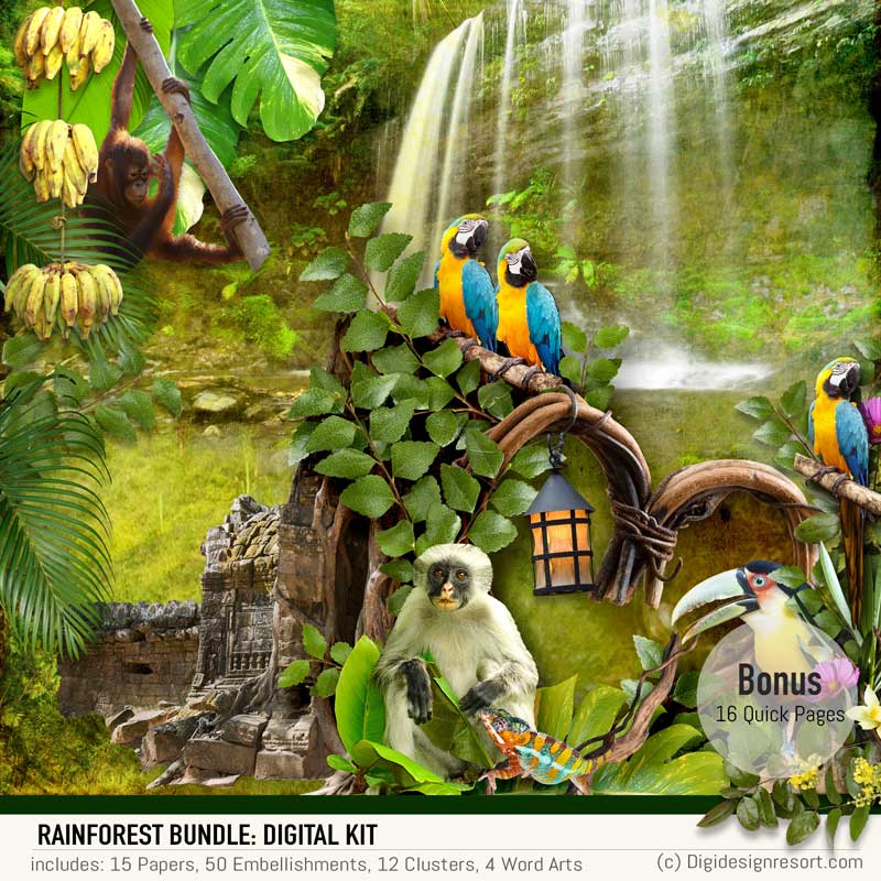 SKU_1007_Rainforest_Bundle_800